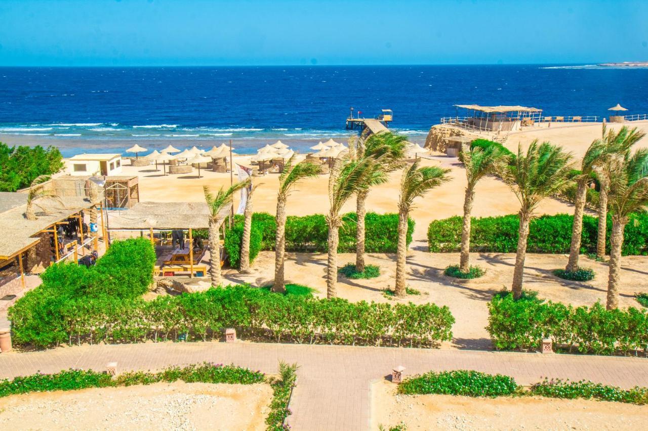 Viva Blue And Diving Sharm El Naga (adults Only) Complex 4*