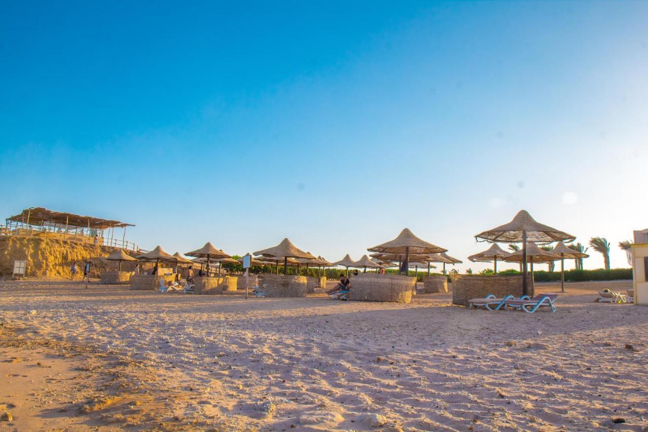 Viva Blue And Diving Sharm El Naga (adults Only) Complex 4*