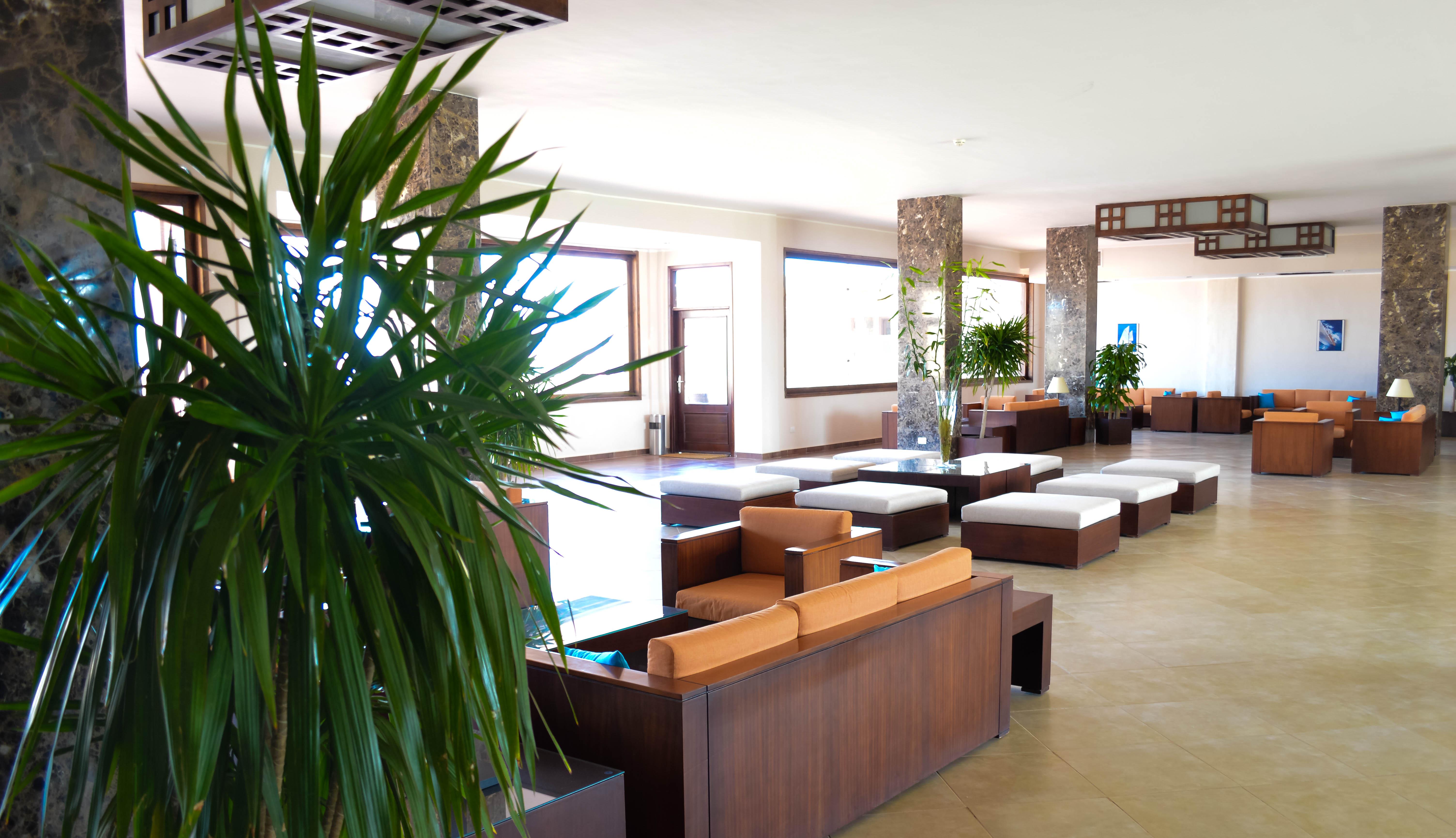 Complex Viva Blue And Diving Sharm El Naga (adults Only)