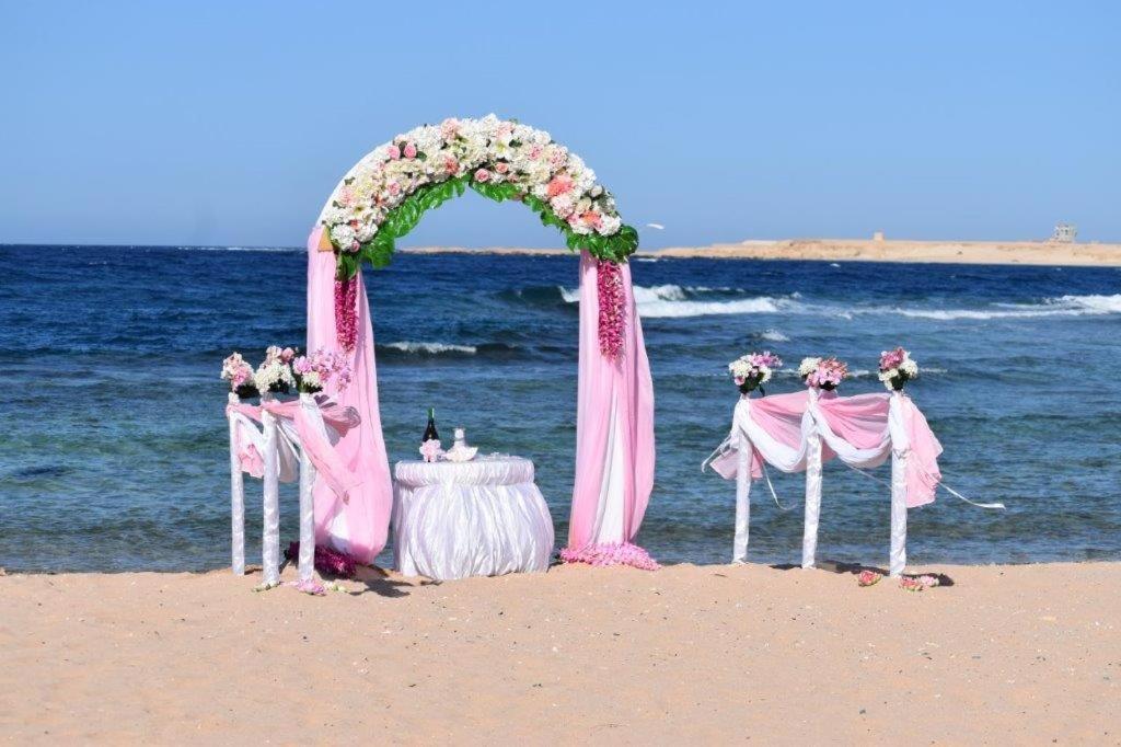 Viva Blue And Diving Sharm El Naga (adults Only) Complex