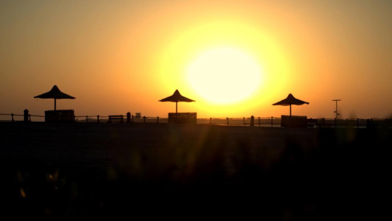 Viva Blue And Diving Sharm El Naga (adults Only) Complex 4*