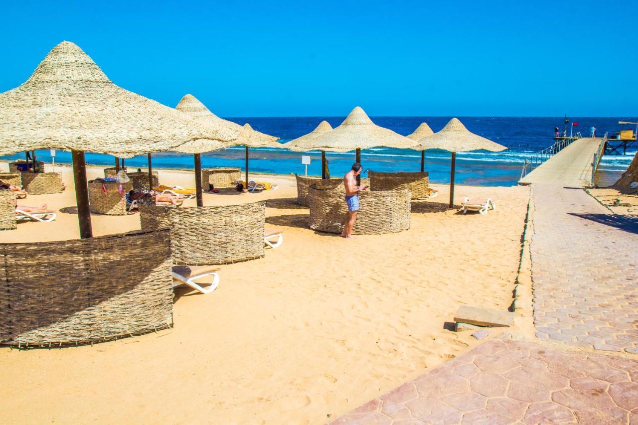 Viva Blue And Diving Sharm El Naga (adults Only) Rezort 4*