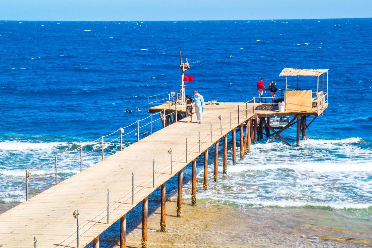 Viva Blue And Diving Sharm El Naga (adults Only) Rezort 4*